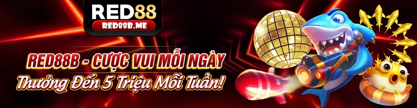 Thời gian phản hồi và hỗ trợ