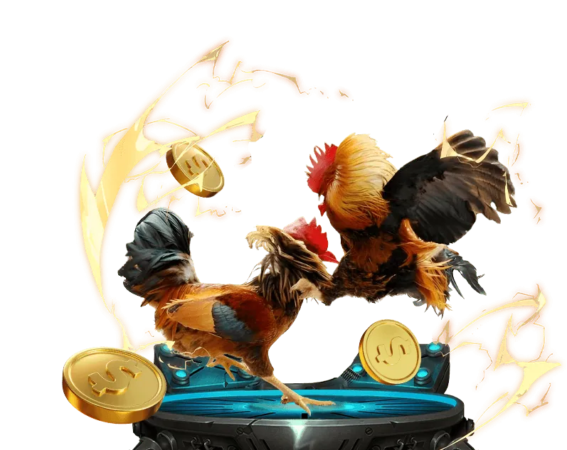 XIN88 thương hiệu uy tín